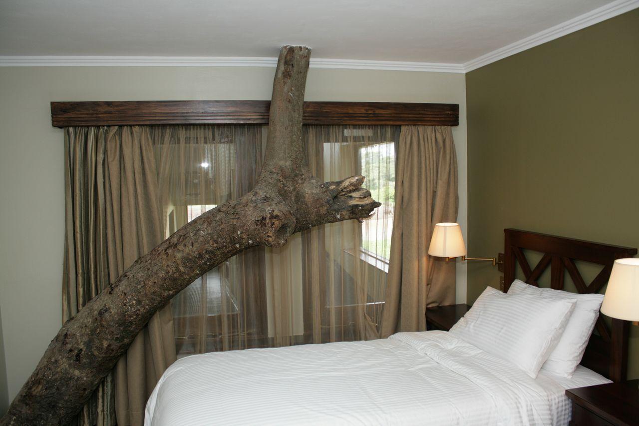 Treetops Mweiga Cameră foto